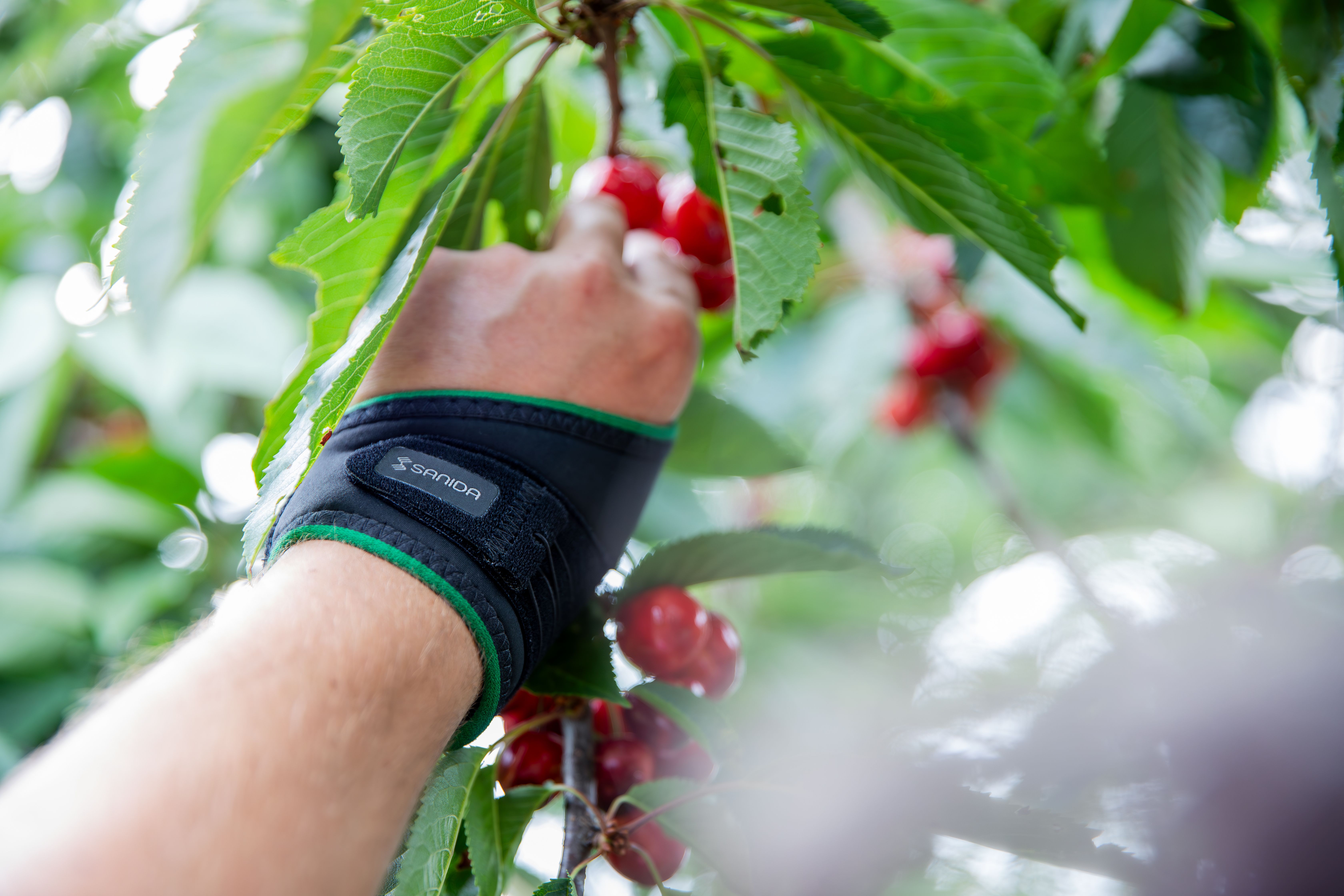 Orthese der Handelsmarke Sanida